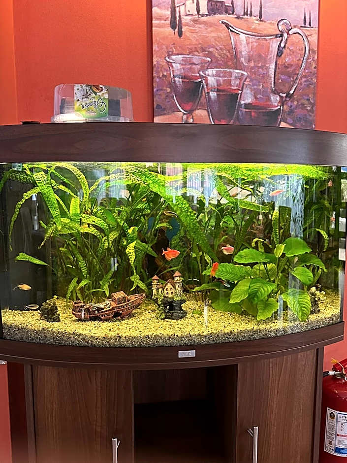 restaurant motel dolorean