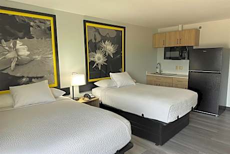 Double Room with Two Double Beds and Kitchenette