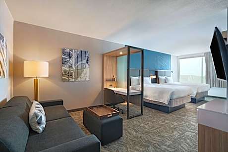 SpringHill Suites by Marriott Dallas Richardson/University Area