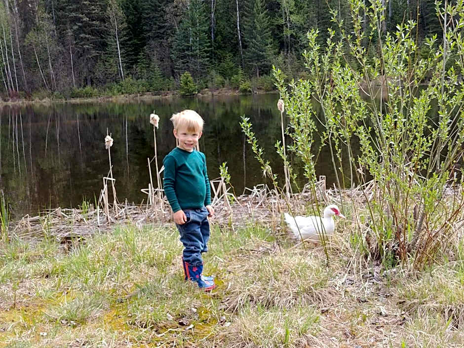 Wolfwood Guest Ranch