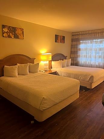 Double Room with Two Double Beds - Non-Smoking