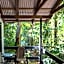 Cape Tribulation Beach House