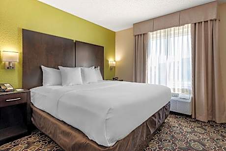 1 King Bed, Suite, Nonsmoking, Accessible