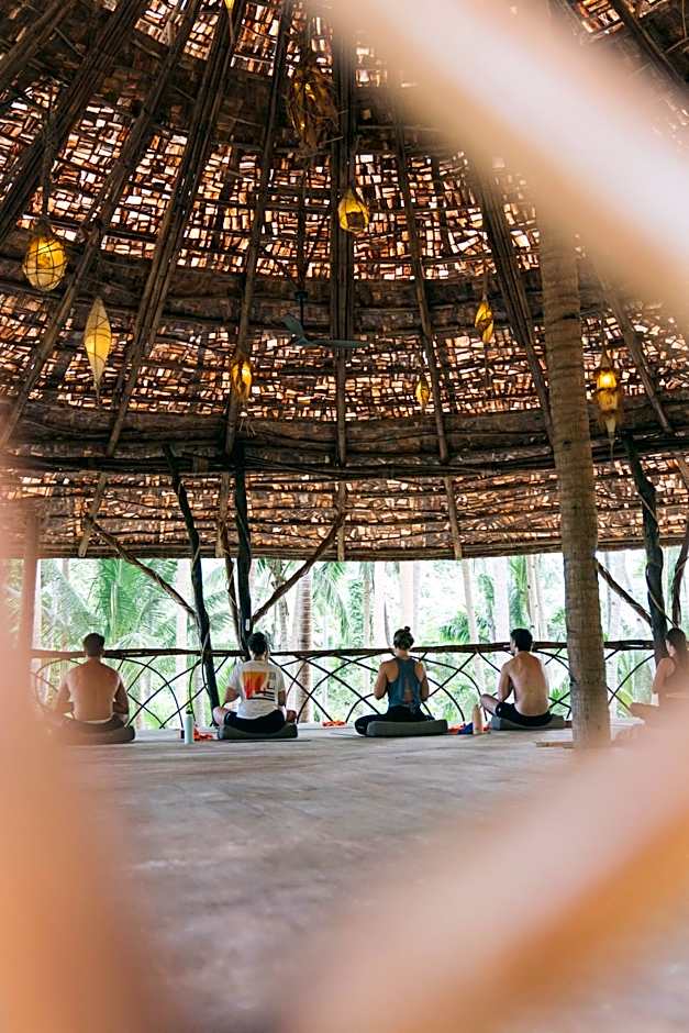 Dryft Darocotan Island