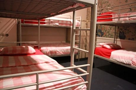 Bed in 10-Bed Mixed Dormitory Room