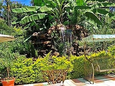 Comfort Gardens Guest House