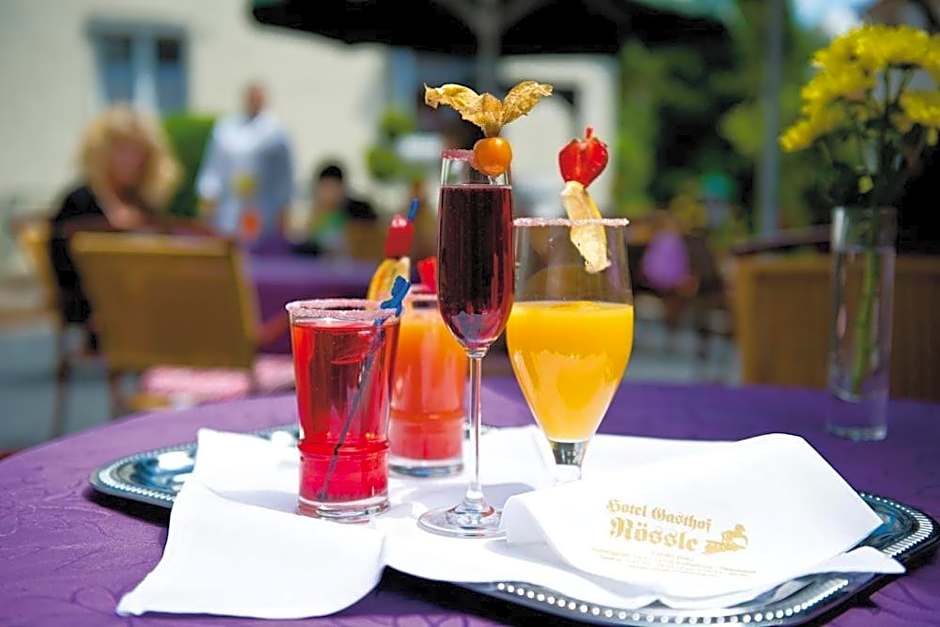 Hotel Gasthof Rossle