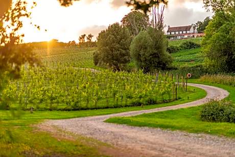 Three Choirs Vineyards