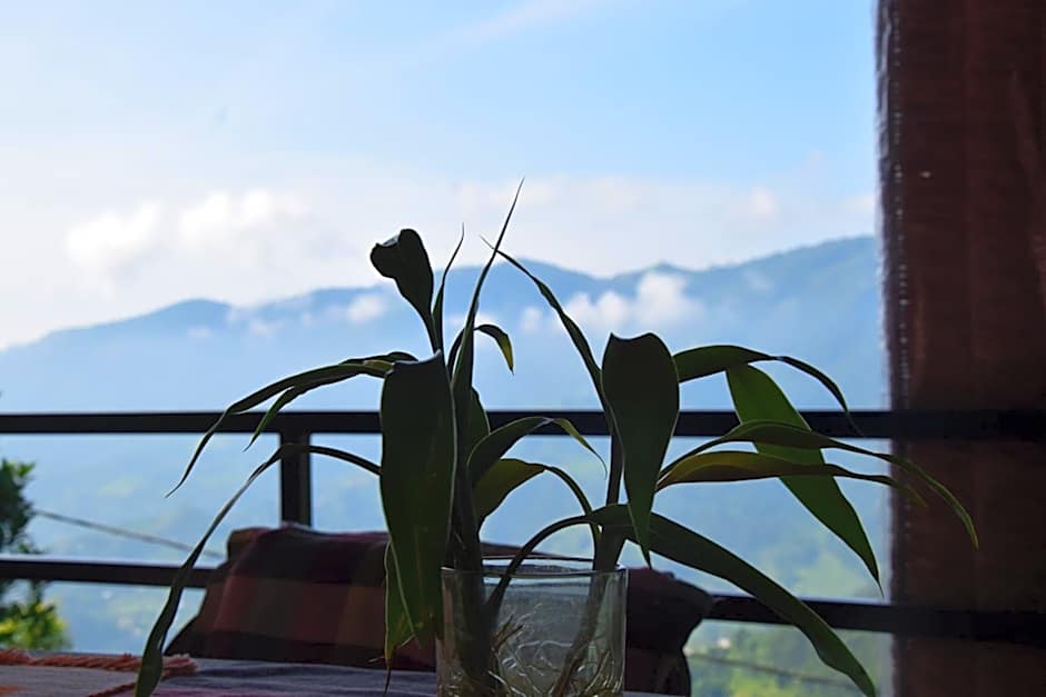 Siddhartha Garden Ayurveda