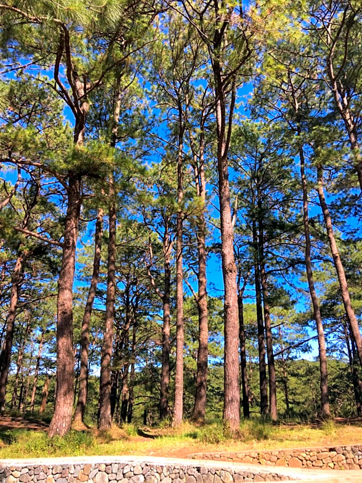 The Breys Courtyards Manor by Goshen