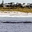 BIG4 Middleton Beach Holiday Park