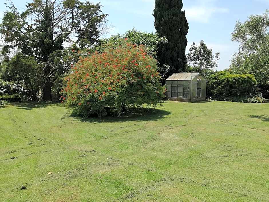 Poderi di Tragliatella