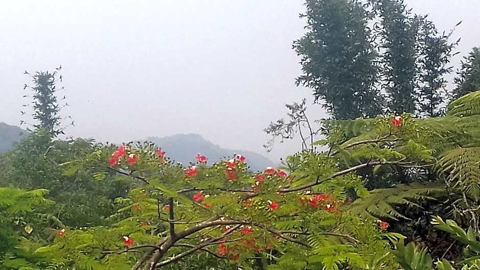 Hospedaje Totalmanik