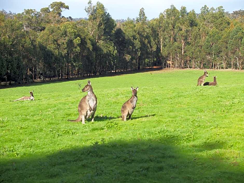 Karri Valley Chalets