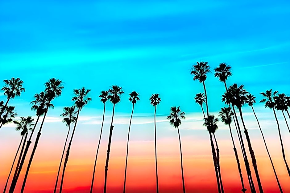 Canoga Hotel At Warner Center