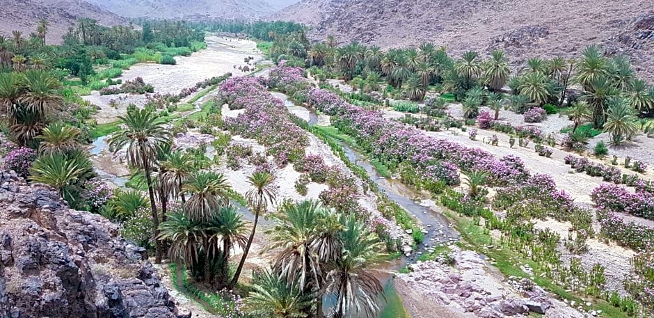 ecolodge bivouac des aigles