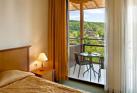 Deluxe Double or Twin Room with Balcony