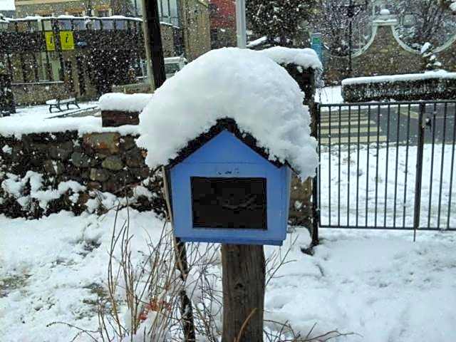 Albergue Pájaro Loco