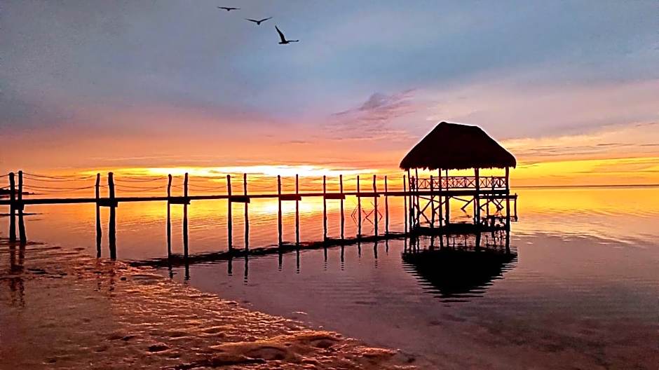 Experiencia Casa Blanca