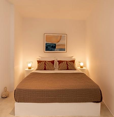 Deluxe One-Bedroom Apartment