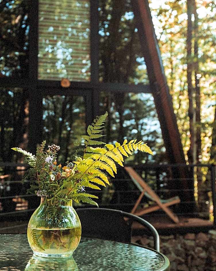 Eco Village In The Forest