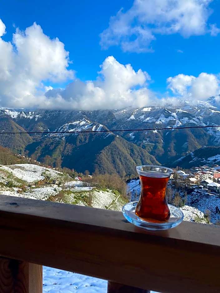 MİNTONA VİLLA SUİT