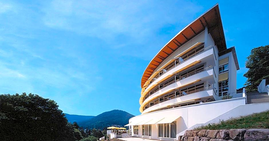 Schwarzwald Panorama