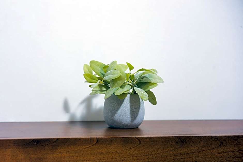 Casa la Feria - Céntrico