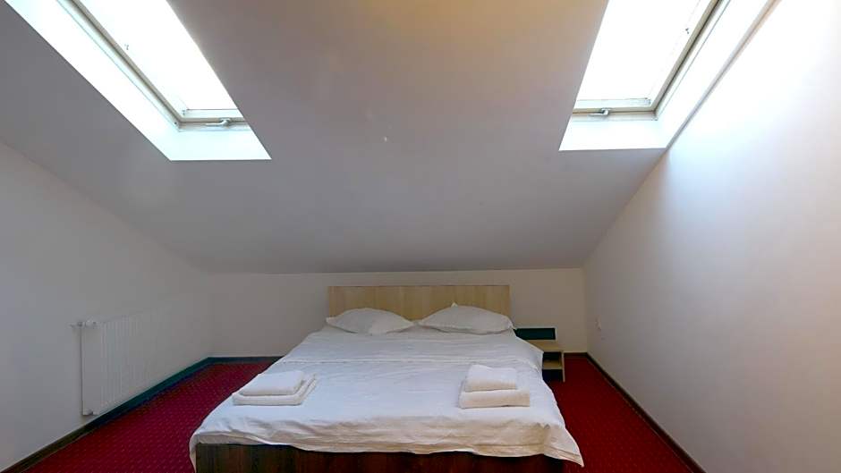 Pensiunea Montan din Bran,sat Simon SPA indoor