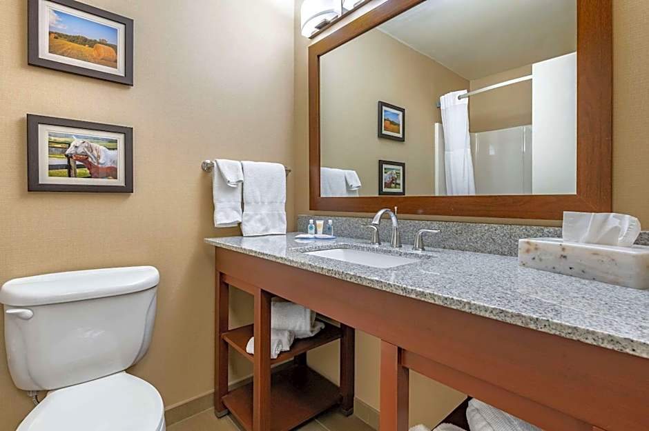 Comfort Inn & Suites Northern Kentucky