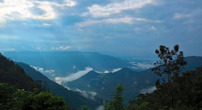 After the Rains - Rainforest Lodge