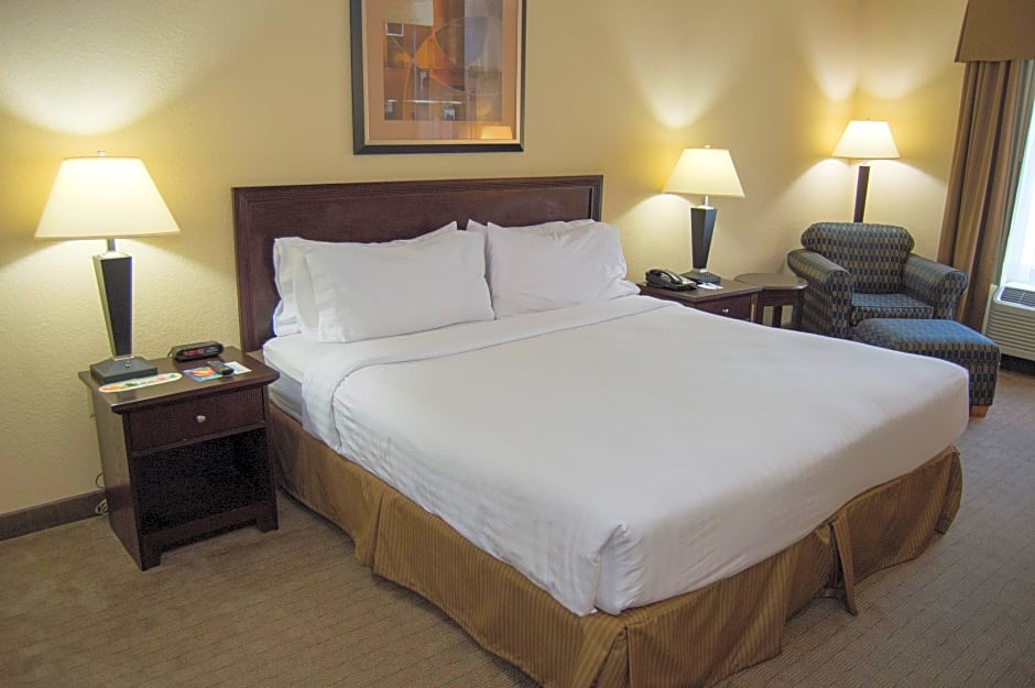 Holiday Inn Express Hotel & Suites Clearwater US 19 North