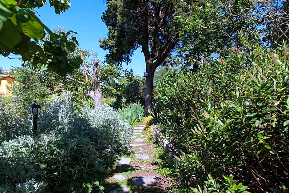 Pietrantica - Affittacamere con giardino NUOVA APERTURA a Trebiano -CITR