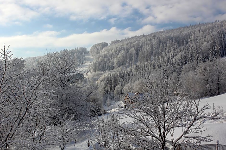 Hillton Jawornik – Wisla, IN
