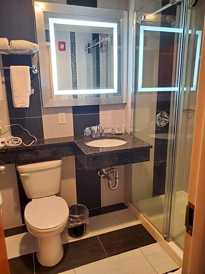 Umbrella Hotel Brooklyn