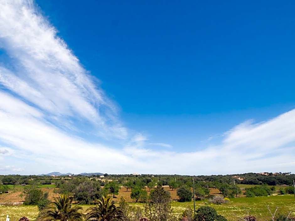 Agroturismo S Hort de Can Carrio AG226