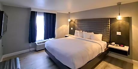 One Room Suite, 1 King Bed, Whirlpool, Fireplace, Non Smoking