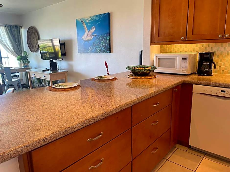 South Maui Ocean View Condo with Free Wifi and Parking