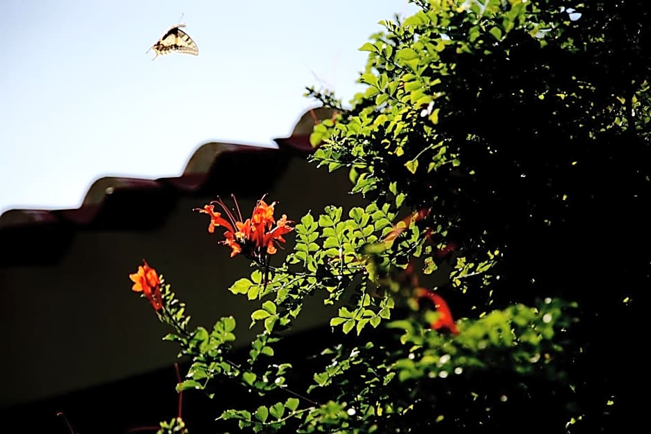 Sa Pedrera Country Hotel