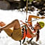 Berghaus Schröcken - Hotel Apartments Spa