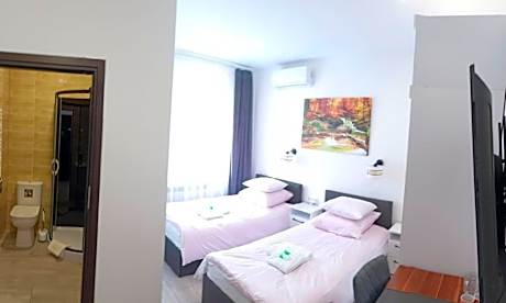 Large Double or Twin Room