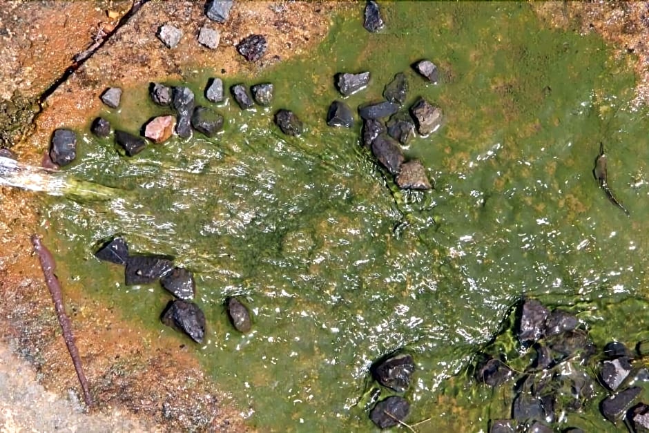 Glenda S Guest Suites