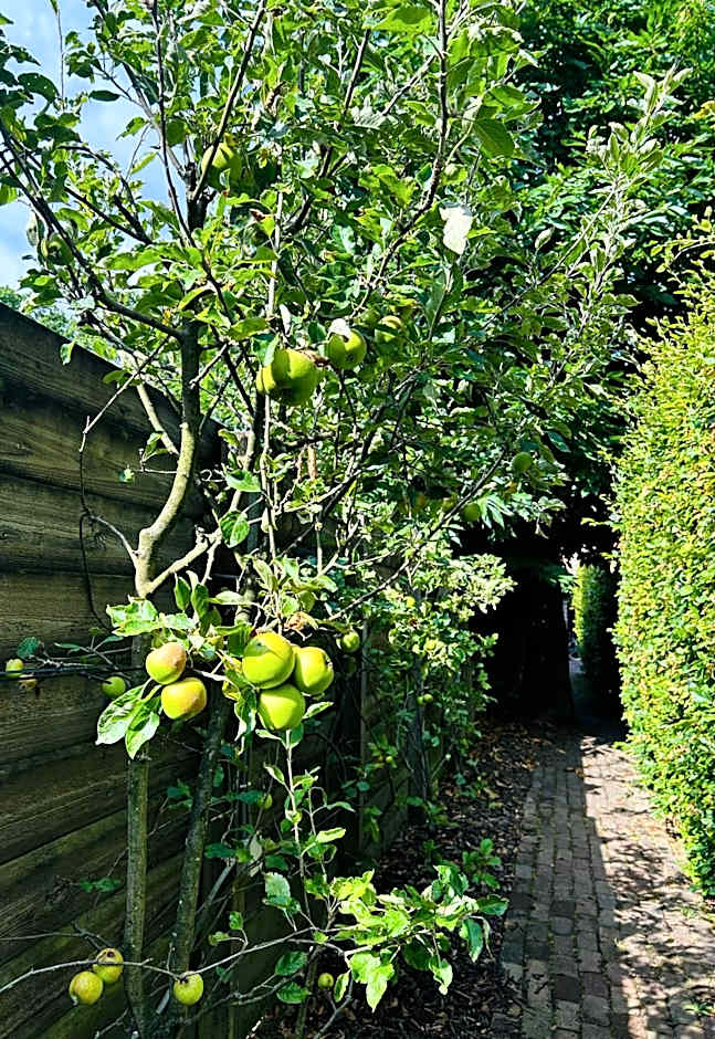 Bed and Breakfast: 'Bij ons Achter'