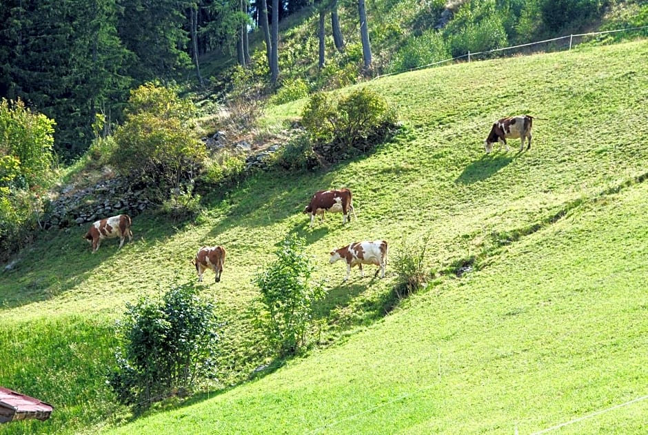 Ferienwohnung Suntinger