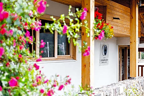 Le Grand Aigle Hotel & Spa****