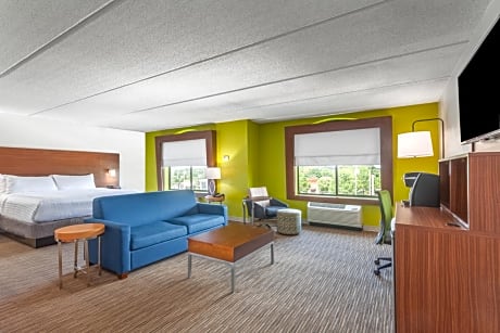 Suite King Bed Non Smoking