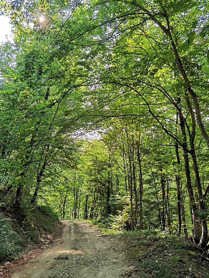 Les Hauts de Grazac