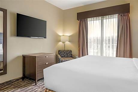 King Suite with Sofa Bed and Kitchenette - Non-Smoking