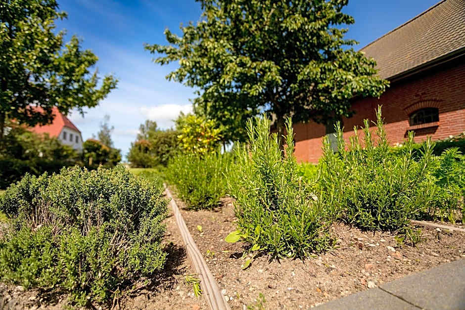 H.W.S. Hotel Der Wilde Schwan