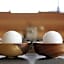 Alpen-Herz Romantik & Spa - Adults Only
